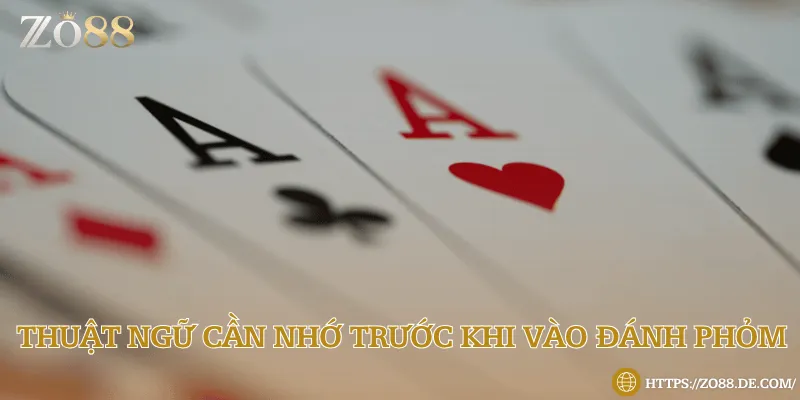 Khám phá các thuật ngữ xuất hiện trong bài phỏm 